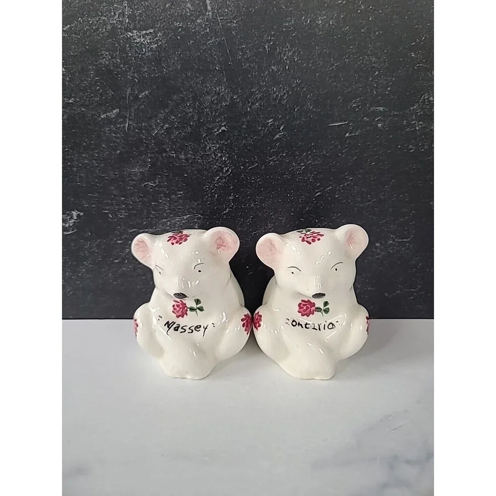 Plichta London England Floral Bear Ceramic Salt And Pepper Shakers Vintage, READ
